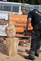 Bild: Emmenrausch am Stausee Kelbra