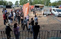 Bild: Emmenrausch am Stausee Kelbra