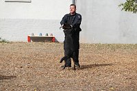 Bild: Tag der offenen T&uuml;r bei der Landespolizeiinspektion NOrdhausen