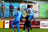 Bild: Drei Punkte gegen Halberstadt