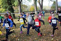 Bild: Stadtparklauf in Sondershausen (2)
