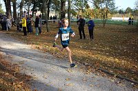 Bild: Stadtparklauf in Sondershausen (2)
