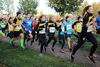 Bild: Stadtparklauf in Sondershausen (2)