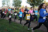Bild: Stadtparklauf in Sondershausen (2)