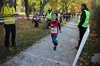 Bild: Stadtparklauf in Sondershausen (2)