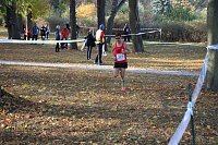 Bild: Stadtparklauf in Sondershausen (2)