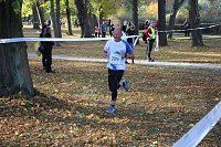 Bild: Stadtparklauf in Sondershausen (2)