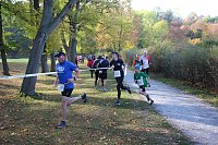 Bild: Stadtparklauf in Sondershausen (2)