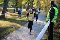 Bild: Stadtparklauf in Sondershausen (2)
