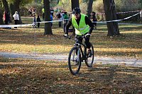 Bild: Stadtparklauf in Sondershausen (2)