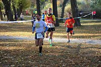 Bild: Stadtparklauf in Sondershausen (2)