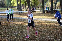 Bild: Stadtparklauf in Sondershausen (2)
