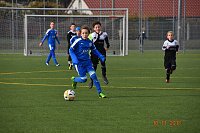 Mit Niederlage in die Winterpause Bild: Mit Niederlage in die Winterpause