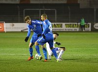 Bild: 2:0-Sieg gegen Altglienicke