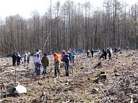 Aktion im Mühlhäuser Stadtwald Bild: Aktion im Mühlhäuser Stadtwald