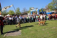 Bild: Gro&szlig;artiger MDR Osterspaziergang in Bad Frankenhausen