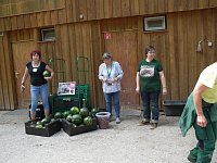 Bild: Spende f&uuml;r den B&auml;renpark