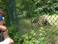 Bild: Spende f&uuml;r den B&auml;renpark