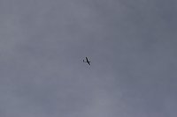 Flugtage bei Hain Bild: Flugtage bei Hain