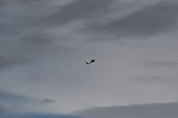 Flugtage bei Hain Bild: Flugtage bei Hain
