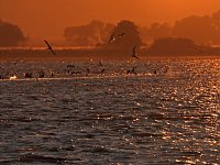 Abendstimmung am Stausee Kelbra Bild: Abendstimmung am Stausee Kelbra
