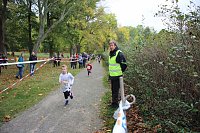 Bild: 26. Stadtparklauf Sondershausen und...