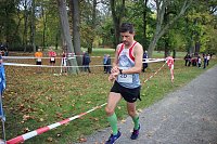 Bild: 26. Stadtparklauf Sondershausen und...