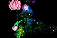 Lichterwelten Bild: Lichterwelten