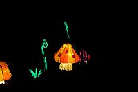 Lichterwelten Bild: Lichterwelten
