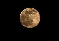 Supermond Bild: Supermond