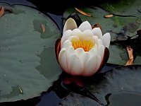 Farbenpracht Bild: Farbenpracht