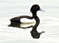 Farbenpracht Bild: Farbenpracht