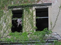 Heilstätten Beelitz Bild: Heilstätten Beelitz