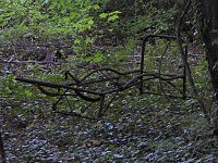 Heilstätten Beelitz Bild: Heilstätten Beelitz