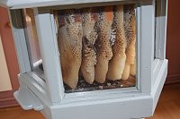 Schnelle Hilfe für Thüringer Imker Bild: Schnelle Hilfe für Thüringer Imker