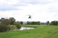 Großwildjagd Bild: Großwildjagd