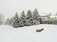 Bild: Ausflug nach Stiege