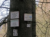 Bild: Osterspaziergang mit Peter Blei