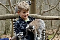 Bild: Besuch im Affenpark Strau&szlig;berg