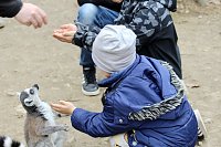 Bild: Besuch im Affenpark Strau&szlig;berg
