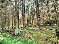 Bild: Peter Blei unterwegs bei Benneckenstein