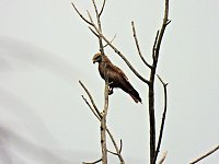 Bild: Ausflug zum Muldestausee