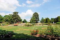 Krönung der Rosenkönigin in Sangerhausen Bild: Krönung der Rosenkönigin in Sangerhausen