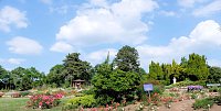 Krönung der Rosenkönigin in Sangerhausen Bild: Krönung der Rosenkönigin in Sangerhausen