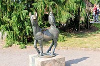 Krönung der Rosenkönigin in Sangerhausen Bild: Krönung der Rosenkönigin in Sangerhausen