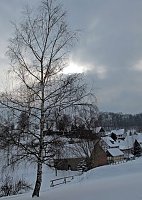 Bild: Wintergr&uuml;&szlig;e