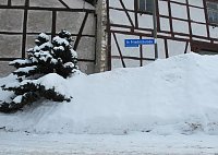 Bild: Wintergr&uuml;&szlig;e