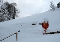 Bild: Wintergr&uuml;&szlig;e