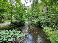 Vom Mägdesprung zum Waldgagsthof Bild: Vom Mägdesprung zum Waldgagsthof