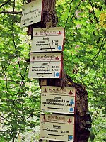 Vom Mägdesprung zum Waldgagsthof Bild: Vom Mägdesprung zum Waldgagsthof